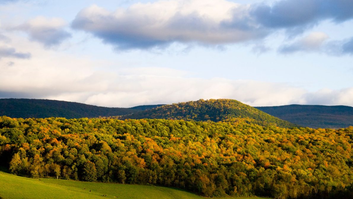 Campgrounds in The Berkshires  MACO